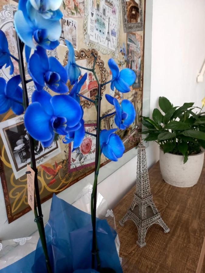 La Torre Jaguarao Otel Dış mekan fotoğraf